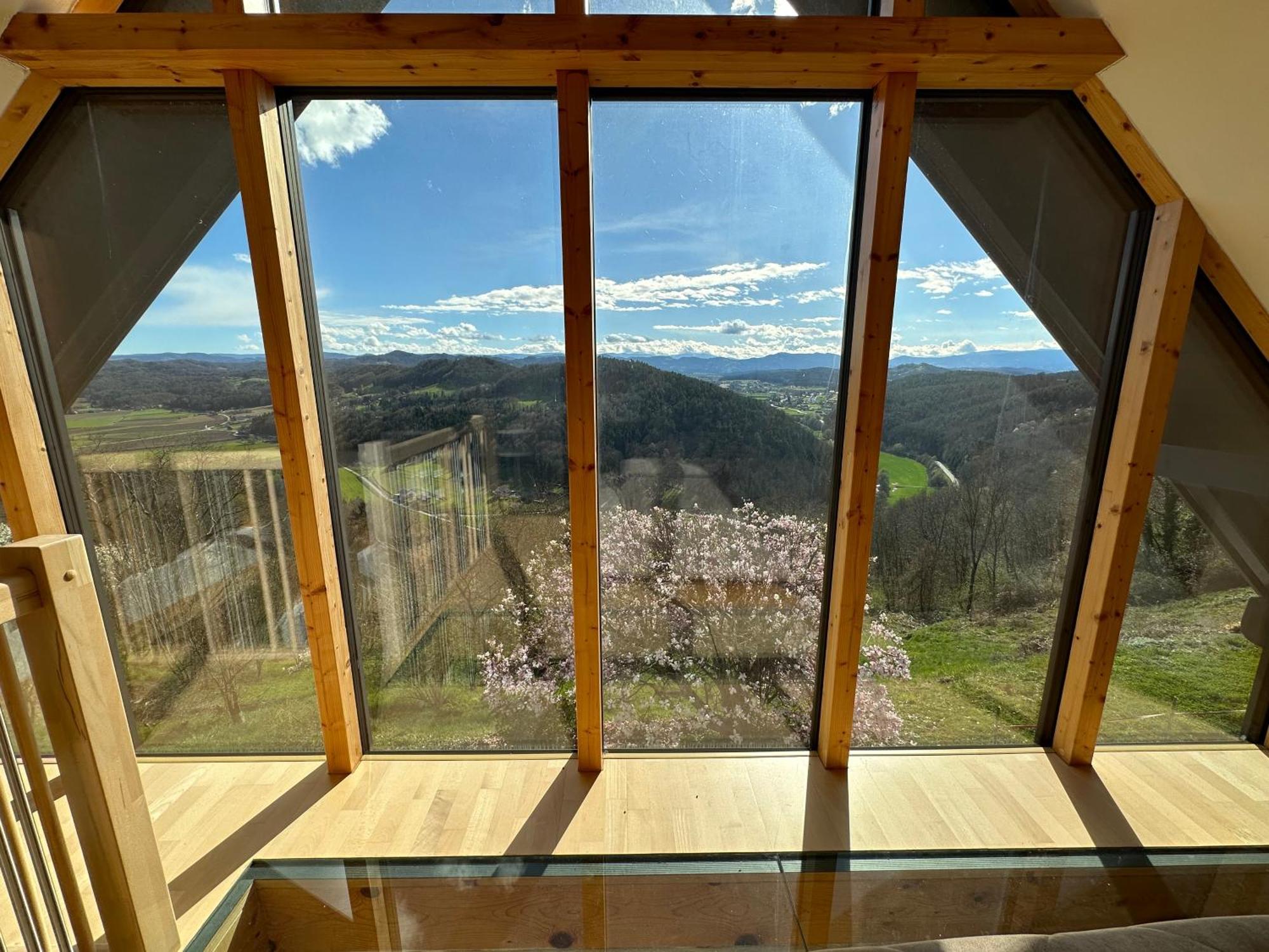 Winzerhaus Roemerstrasse 绍萨尔地区基策克 外观 照片