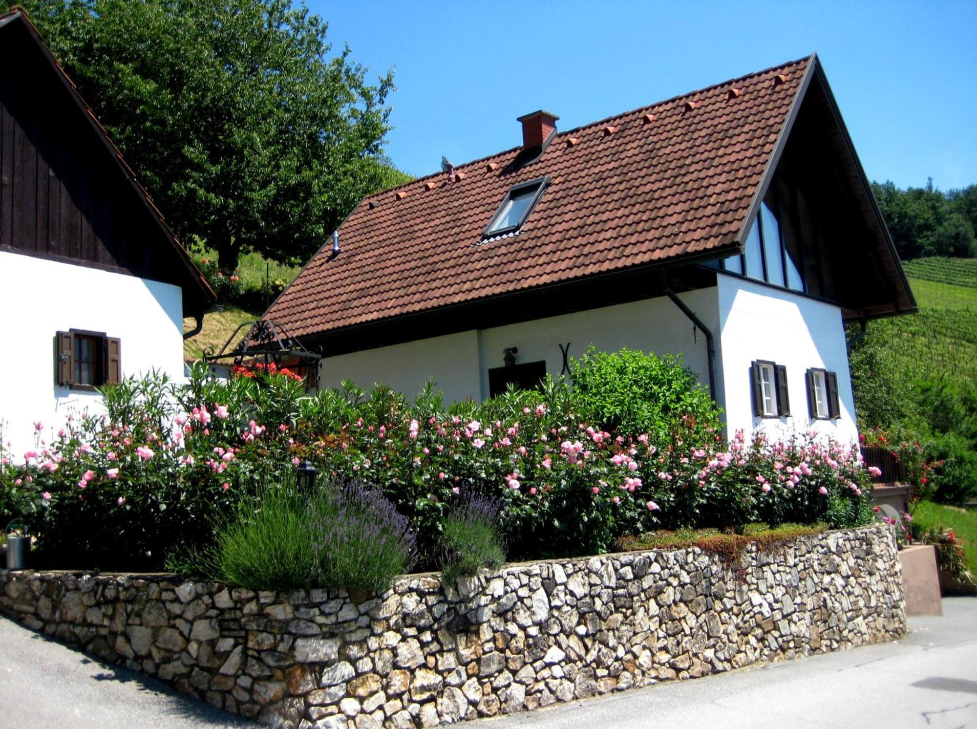 Winzerhaus Roemerstrasse 绍萨尔地区基策克 外观 照片