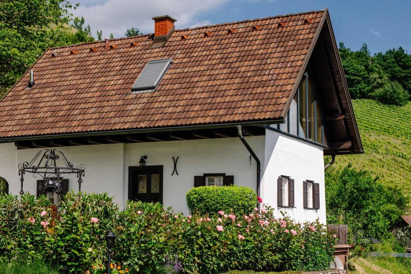 Winzerhaus Roemerstrasse 绍萨尔地区基策克 外观 照片